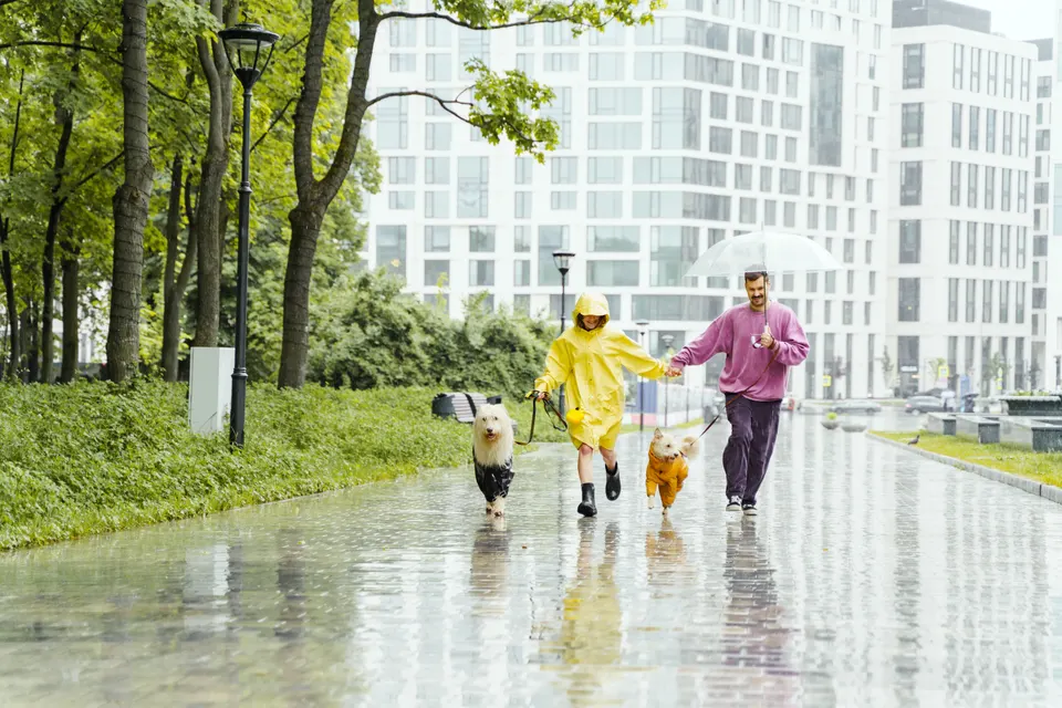 water damage restoration Fern Prairie